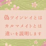 偽ツインレイとは、カルマメイトとは、違いを説明します