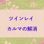 ツインレイ　カルマの解消　解消方法